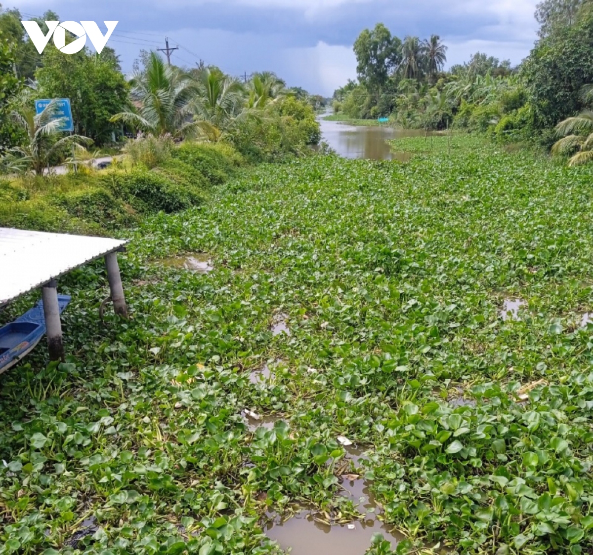 Ra sông bắt ốc, một cháu bé ở Bạc Liêu đuối nước thương tâm